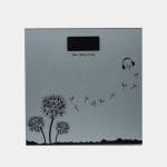 Akıllı Dijital Vücut Tartısı