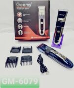 Gemei GM-6079