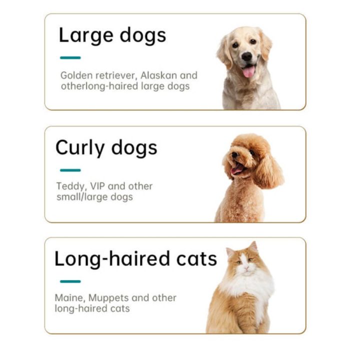 VGR V-208 Evcil Hayvan Tıraş Makinesi Şarjlı Kablosuz Kedi Köpek Traş Makinesi (Mavi) - Görsel 5